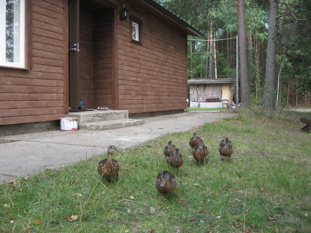 Lomasaaret Cottages Villala Quarto foto
